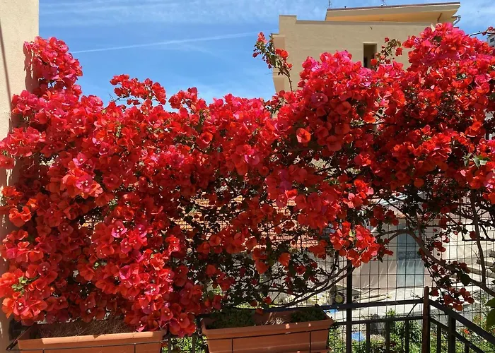 Relax On The Sea Villa Pizzo (Calabria)