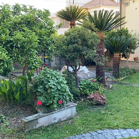 Villa Relax On The Sea Pizzo (Calabria)