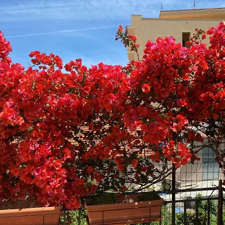 Relax On The Sea Villa Pizzo (Calabria)