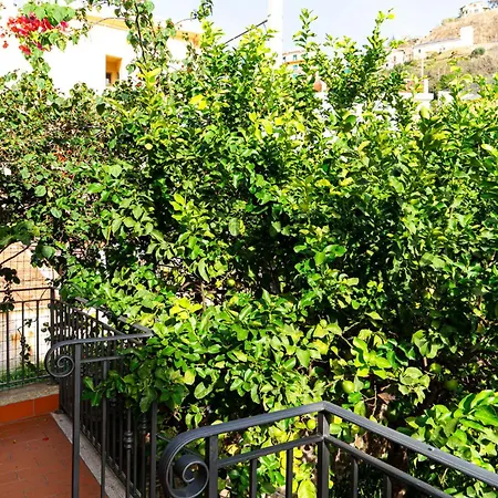 Villa Relax On The Sea Pizzo (Calabria)