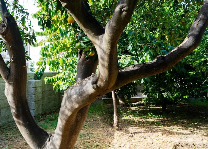 别墅 Relax On The Sea *